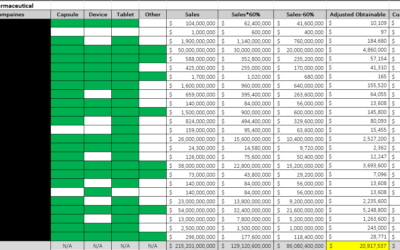 Market Sizing and Opportunity Identification