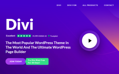 The Benefits of Using Divi as a WordPress Developer